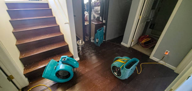Best Flood restoration services  in Auburn, ME