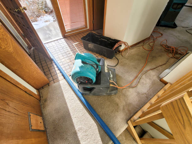 Best Fire Damage Restoration  in Auburn, ME