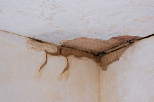 Best Water damage contractors near me  in Auburn, ME