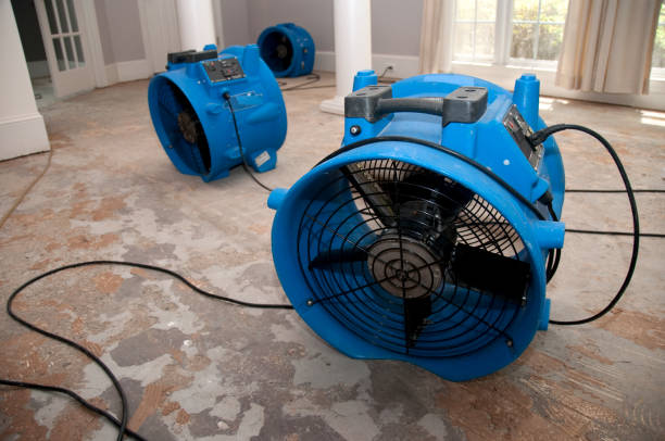 Best Water damage cleanup near me  in Auburn, ME