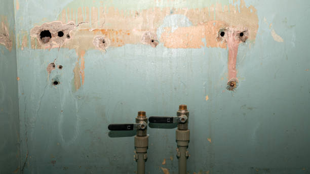 Best Carpet water damage restoration  in Auburn, ME